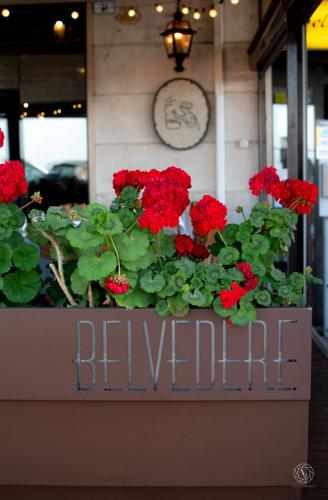 RISTORANTE BELVEDERE